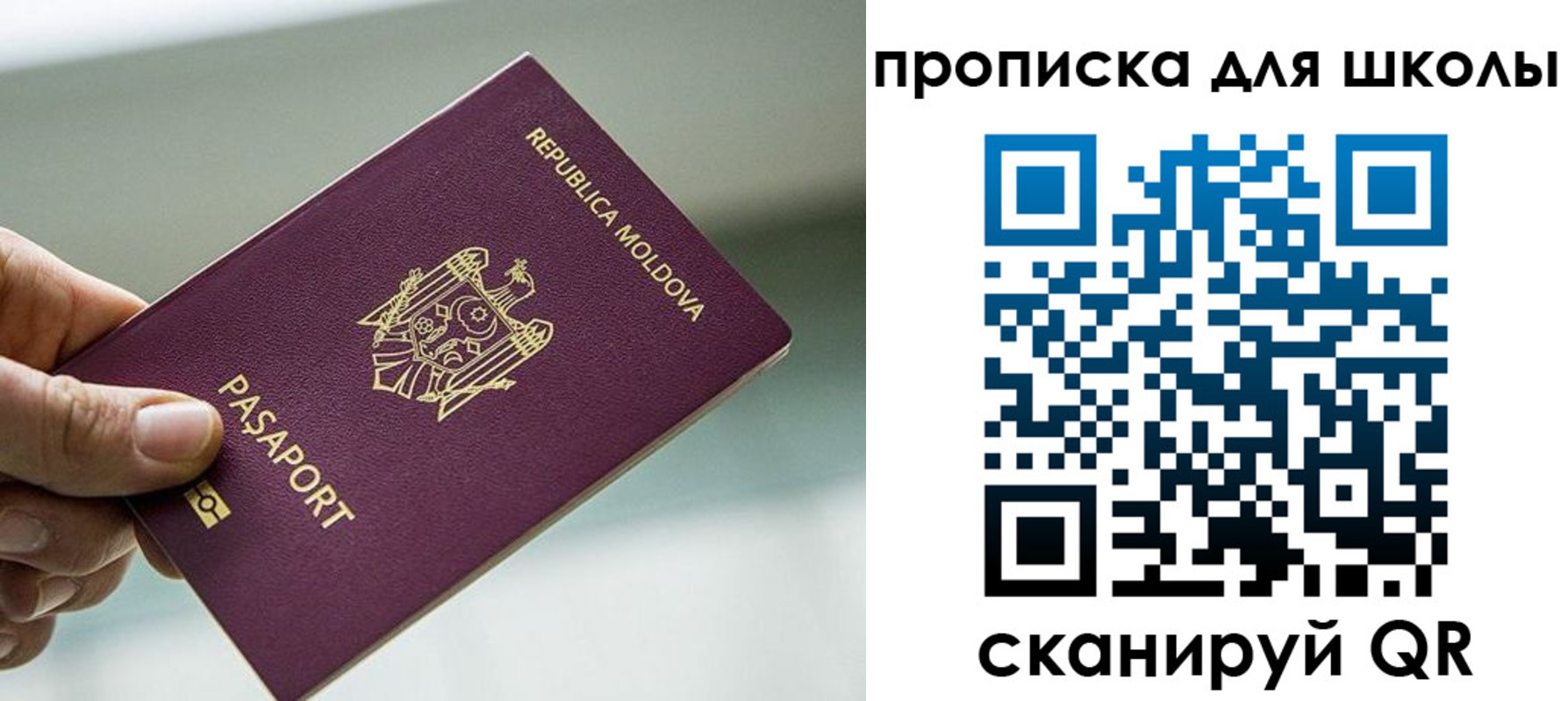 прописка в квартире в Кировске